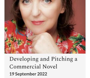 Developing and pitching a commercial novel